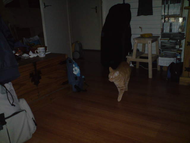 DSC00852.JPG