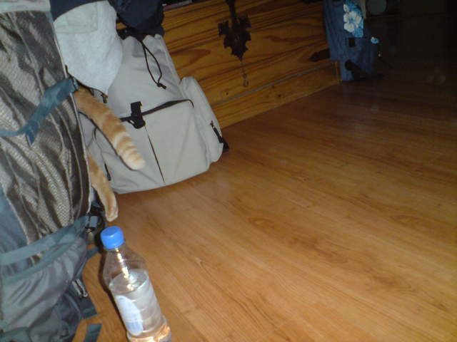 DSC00853.JPG