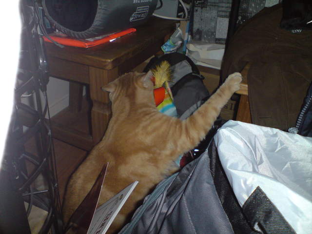 DSC00854.JPG