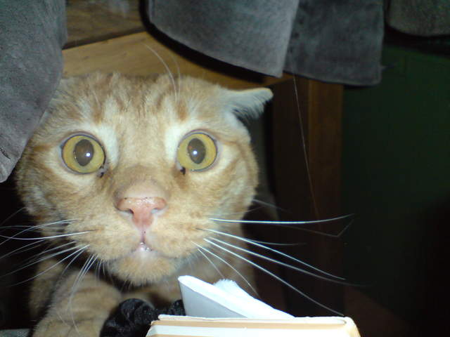 DSC00858.JPG
