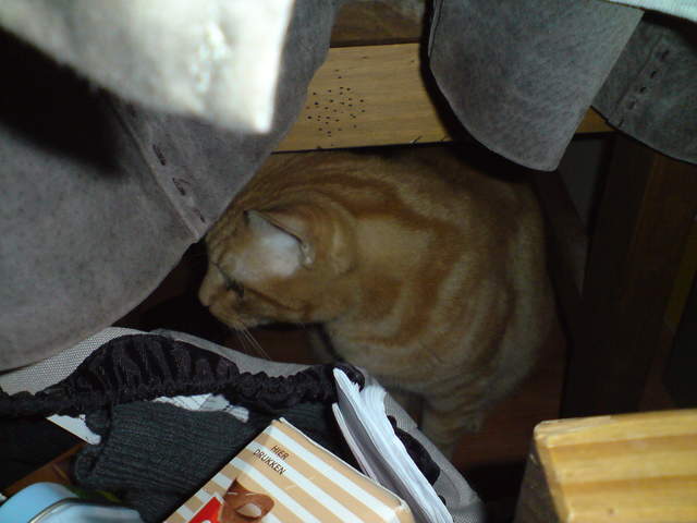 DSC00859.JPG