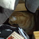 DSC00859.JPG
