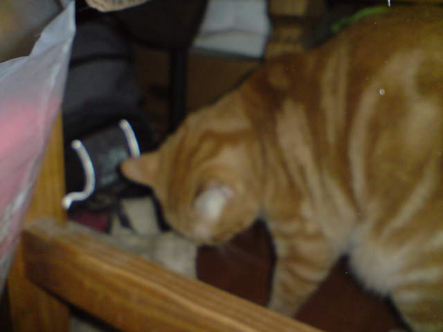 DSC00860.JPG