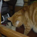 DSC00860.JPG
