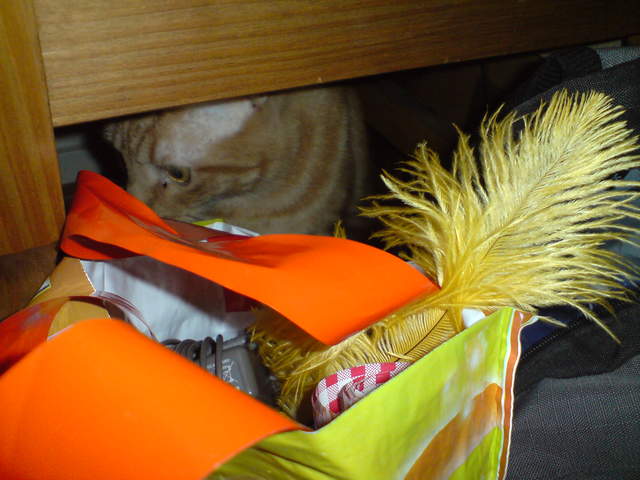 DSC00863.JPG