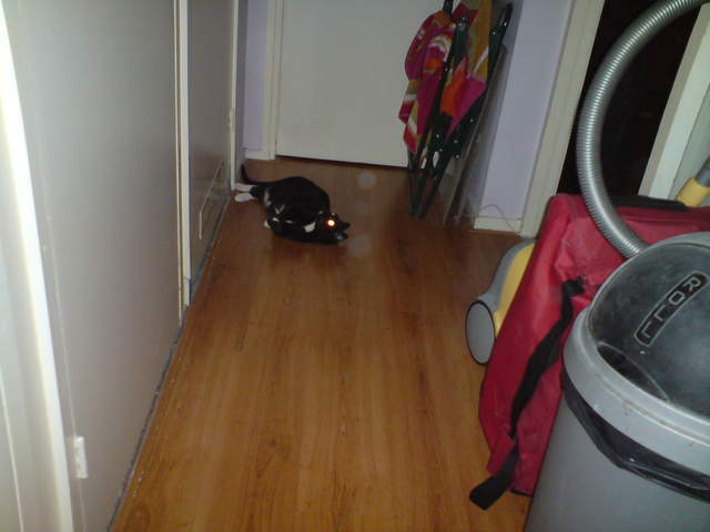 DSC00865.JPG