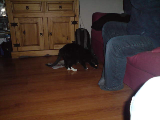 DSC00867.JPG