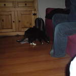 DSC00867.JPG