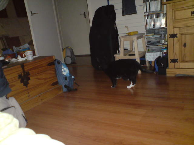 DSC00868.JPG