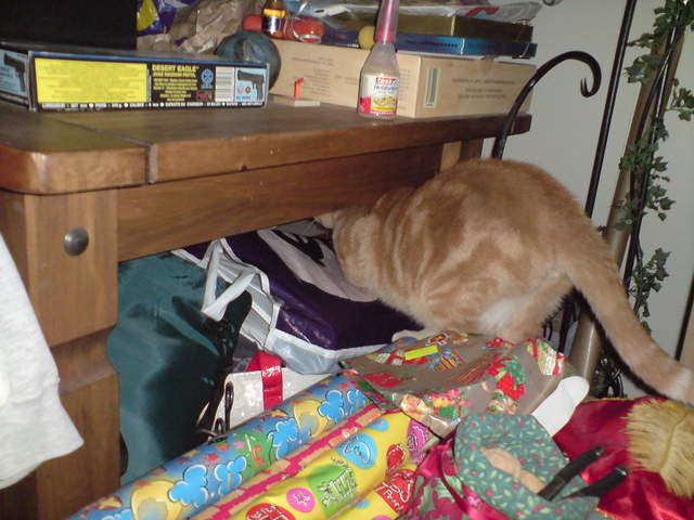 DSC00871.JPG