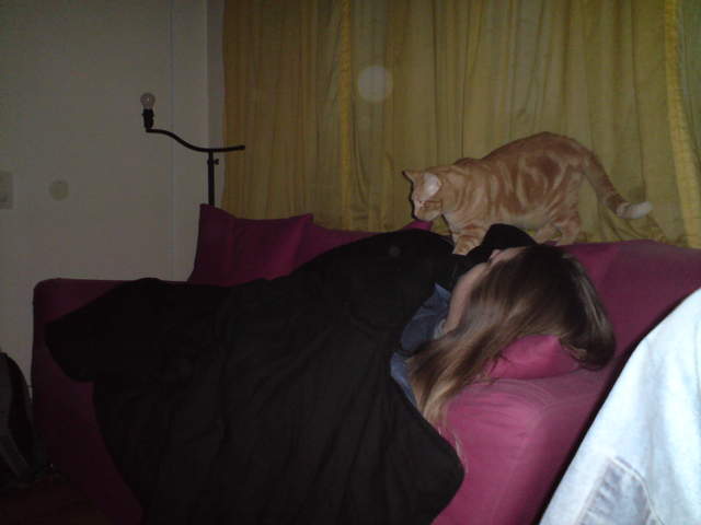 DSC00873.JPG