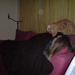 DSC00873.JPG