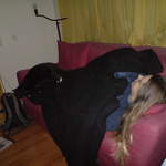 DSC00875.JPG