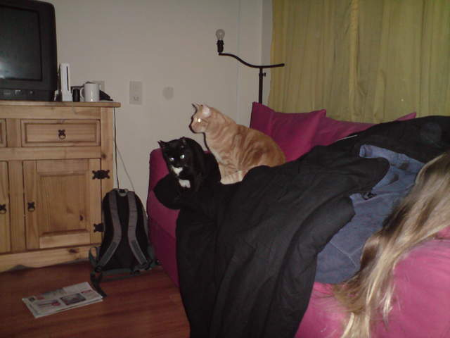 DSC00876.JPG