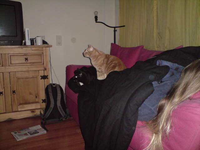 DSC00877.JPG