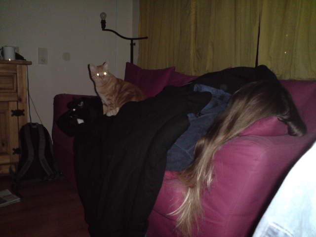 DSC00879.JPG