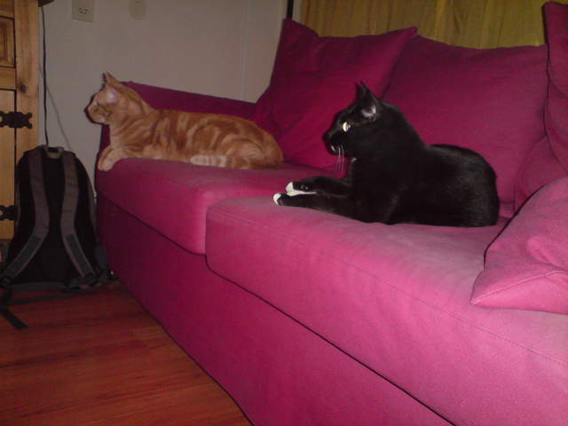DSC00888.JPG