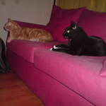 DSC00888.JPG
