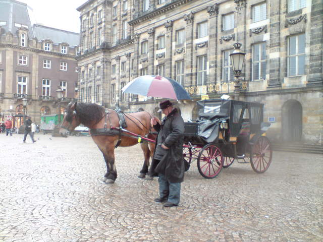 DSC00912.JPG