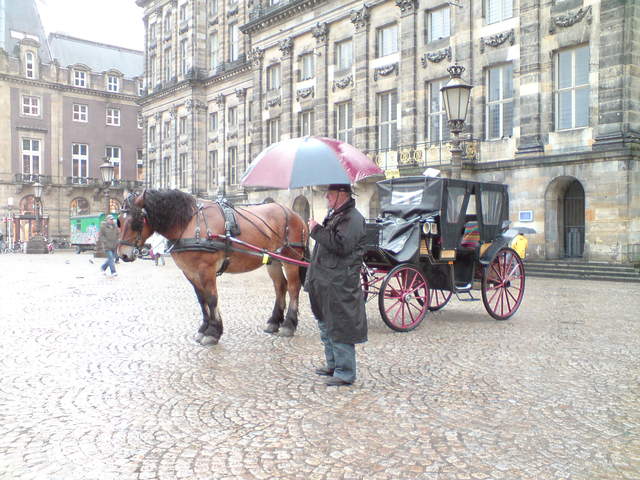 DSC00913.JPG