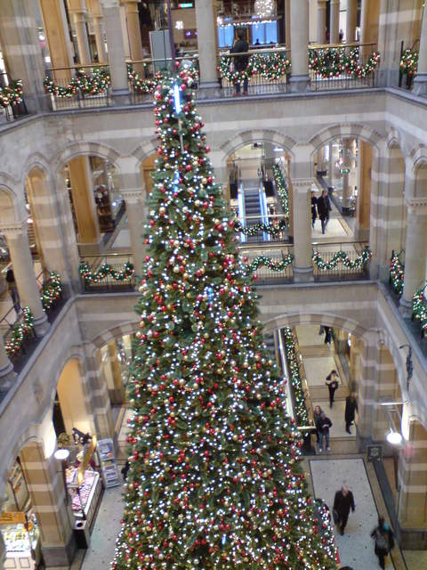DSC00916.JPG