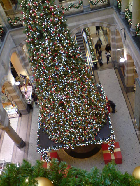 DSC00917.JPG