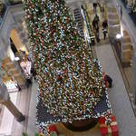 DSC00917.JPG