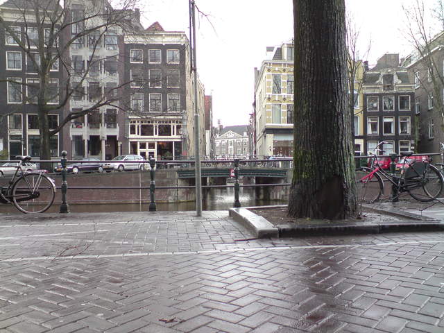 DSC00936.JPG