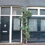 DSC00956.JPG