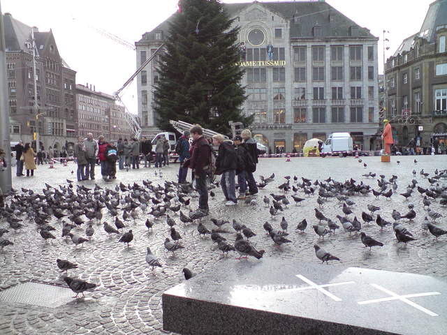 DSC00965.JPG