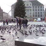 DSC00965.JPG