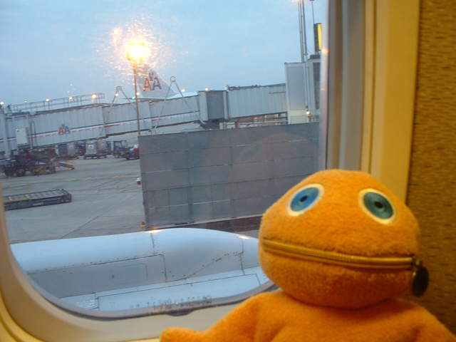 Zippy posing from his window seat on board the plane