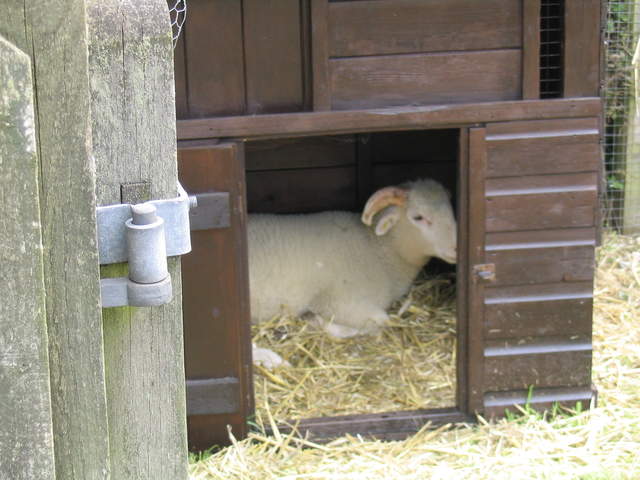 aldenham 001.jpg