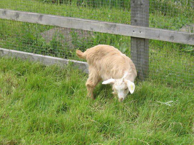 aldenham 003.jpg