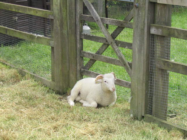 aldenham 005.jpg