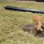 aldenham 006.jpg
