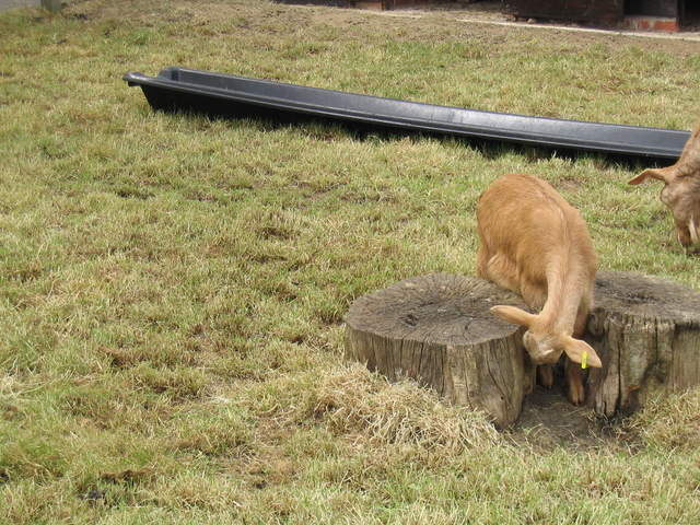 aldenham 006.jpg