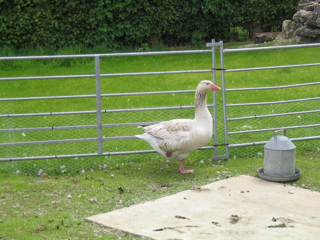 aldenham 008.jpg