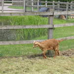 aldenham 009.jpg