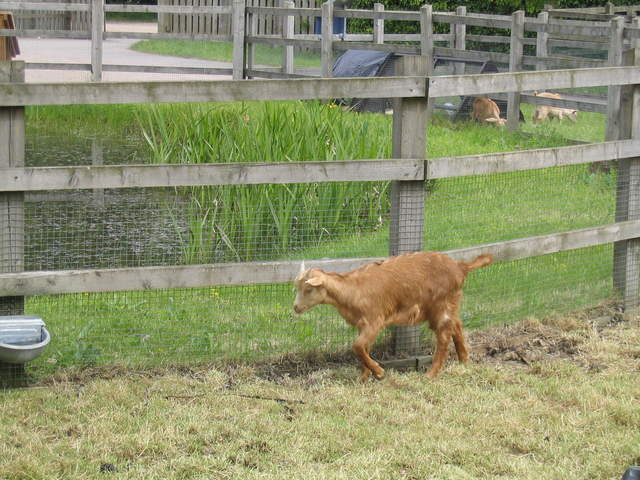 aldenham 009.jpg