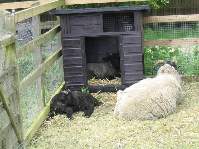 aldenham 010.jpg