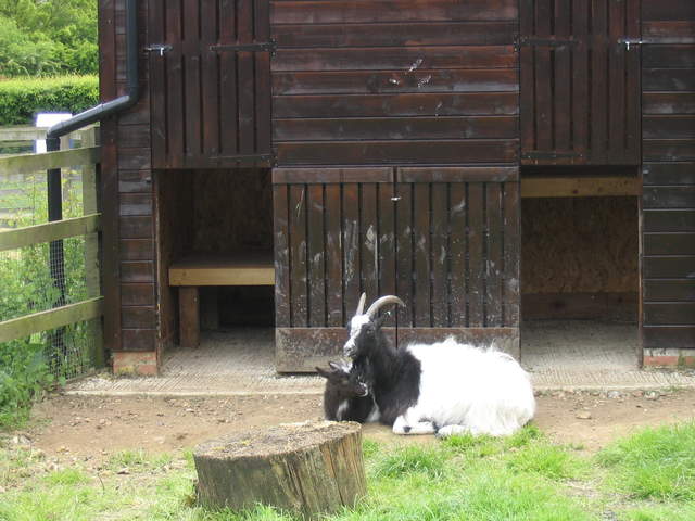 aldenham 013.jpg
