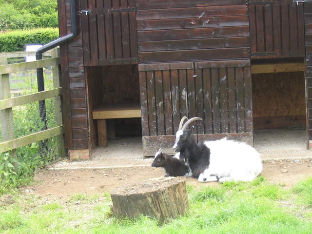 aldenham 014.jpg