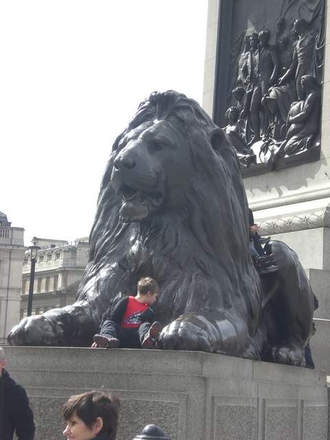 CIMG1674.JPG