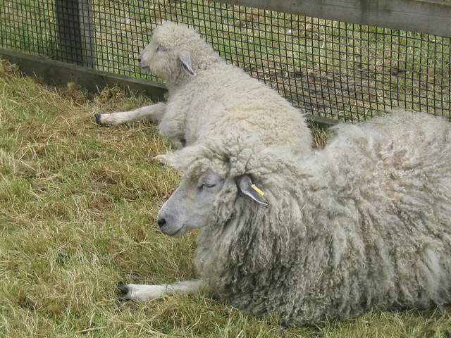 aldenham 021.jpg