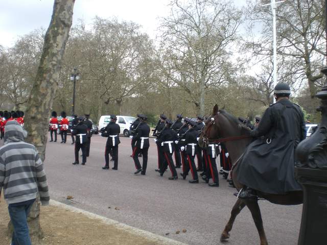 CIMG1695.JPG