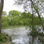 aldenham 023.jpg