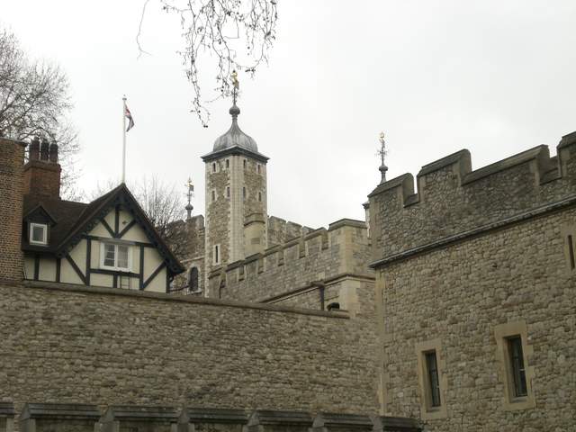 CIMG1715.JPG