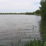 aldenham 026.jpg