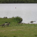 aldenham 027.jpg